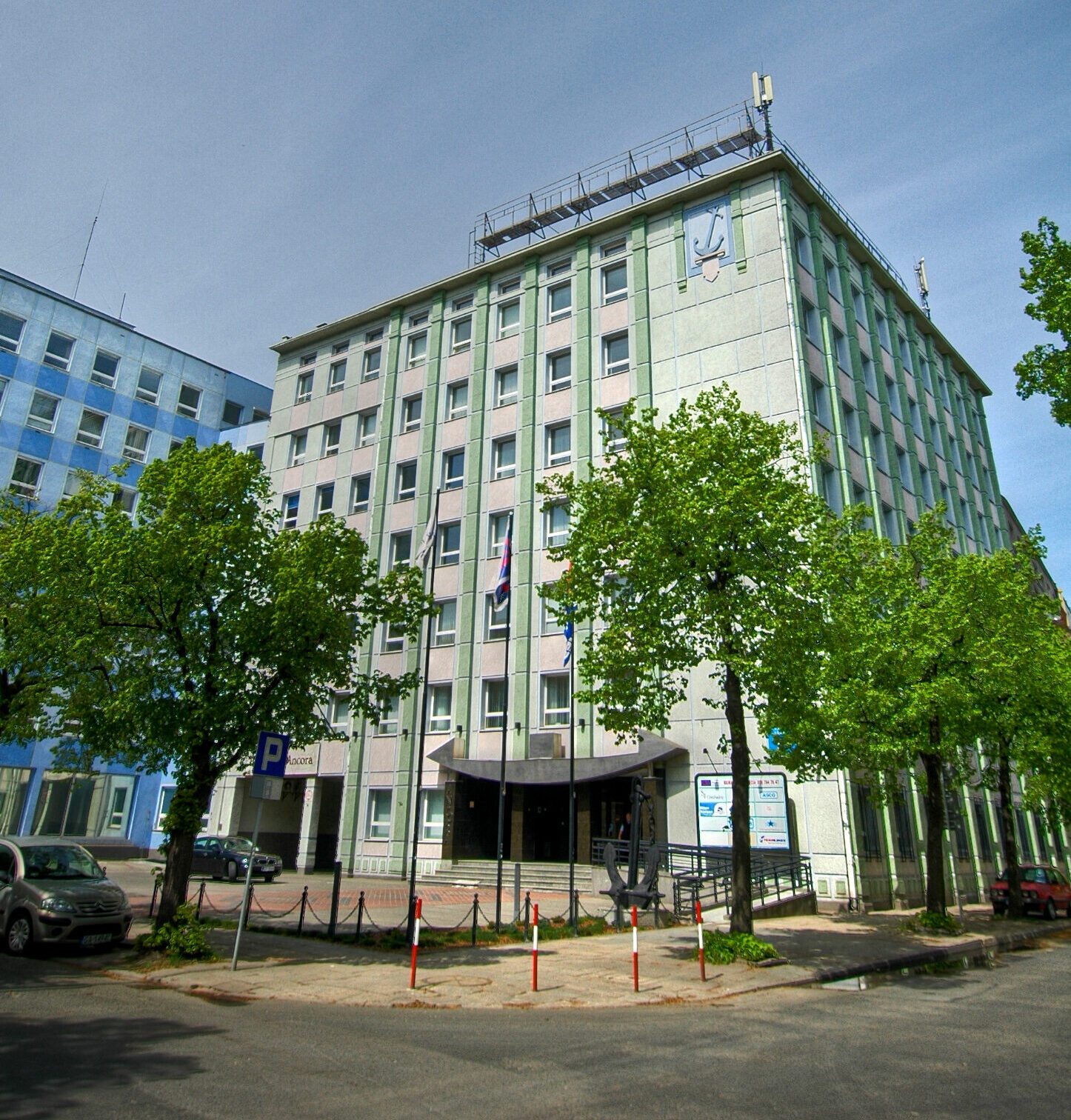 Wnętrze lokalu biurowego z kotem i psem, biuro przyjazne dla zwierząt