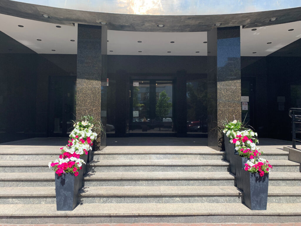 Wejście główne do budynku Elbes - kwiaty na schodach